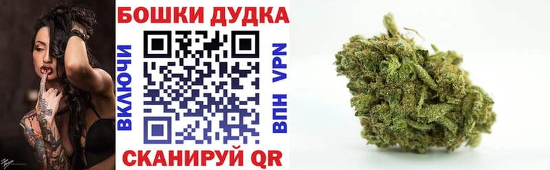Каннабис SATIVA & INDICA  Курган 